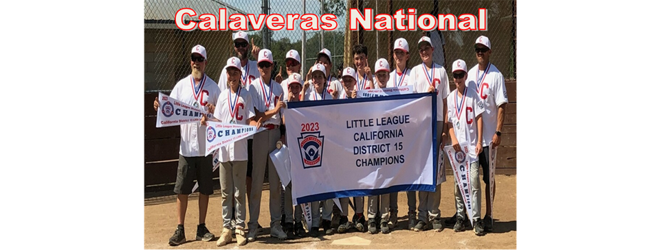 2023 Little League District Champions