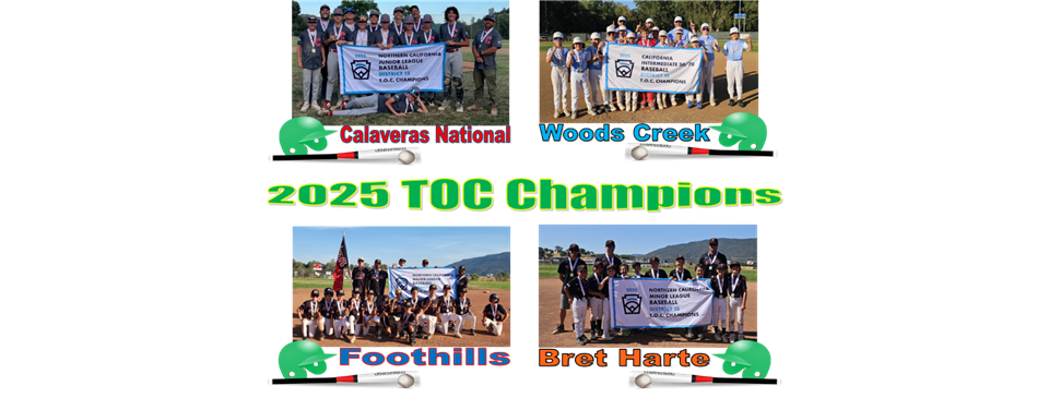  2025 TOC Champions